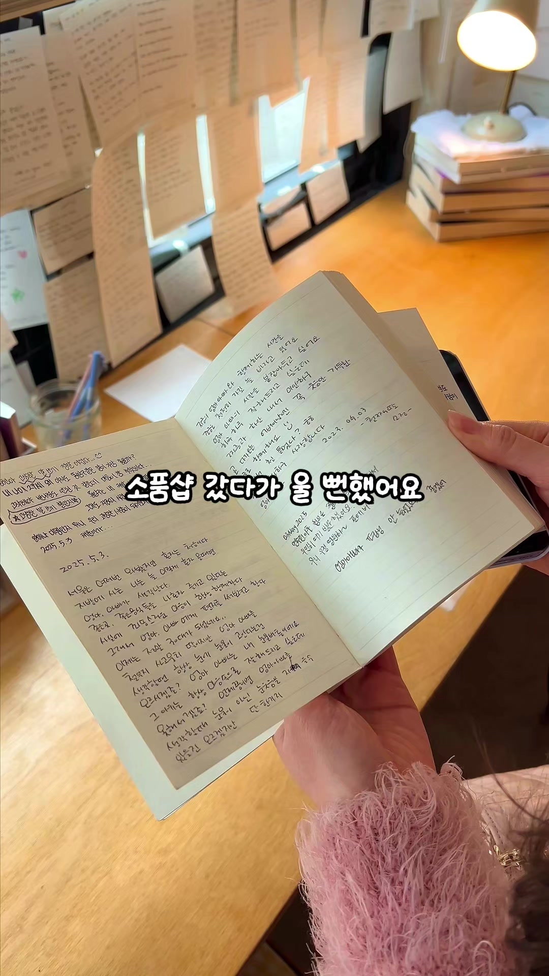 @여행 떠나는 눌루 Trip nulu
