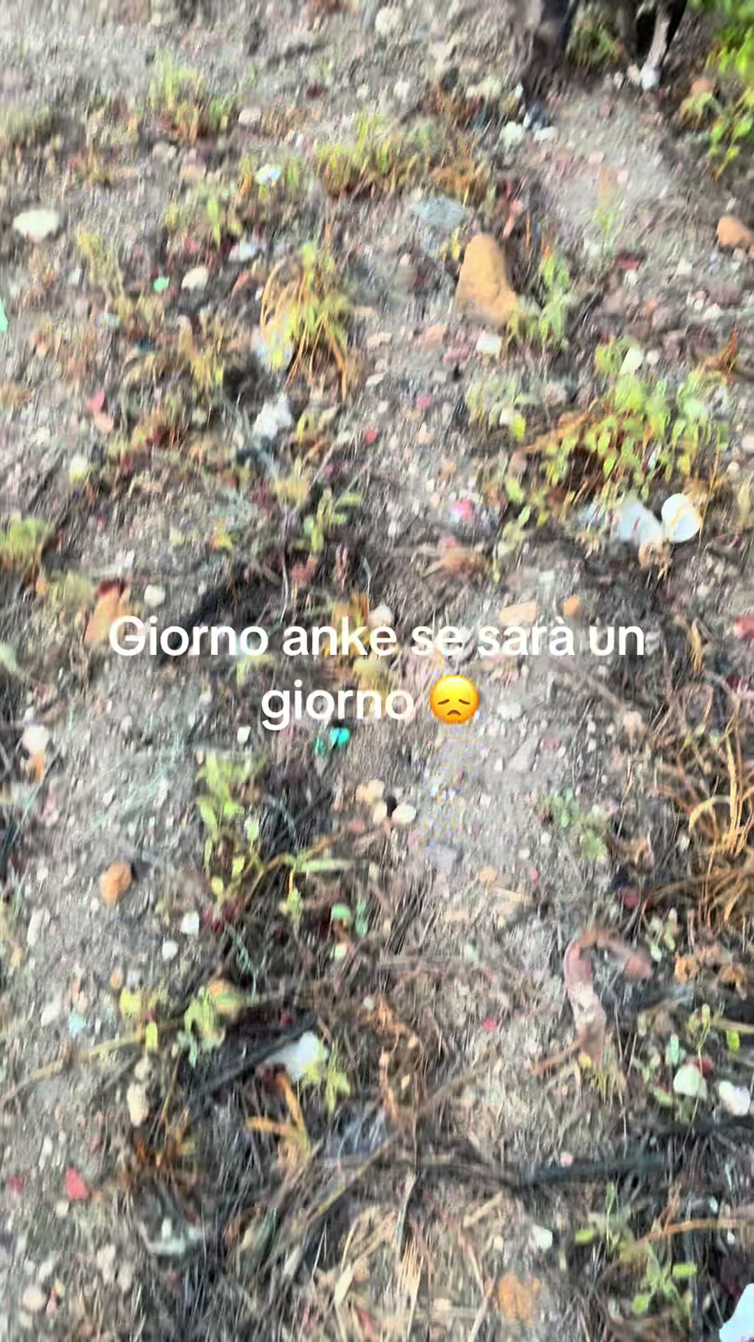 @salvobarra0