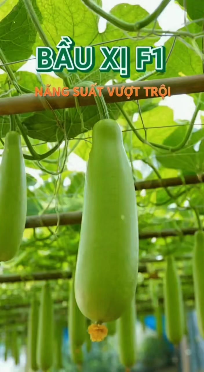 @tới đồ dùng
