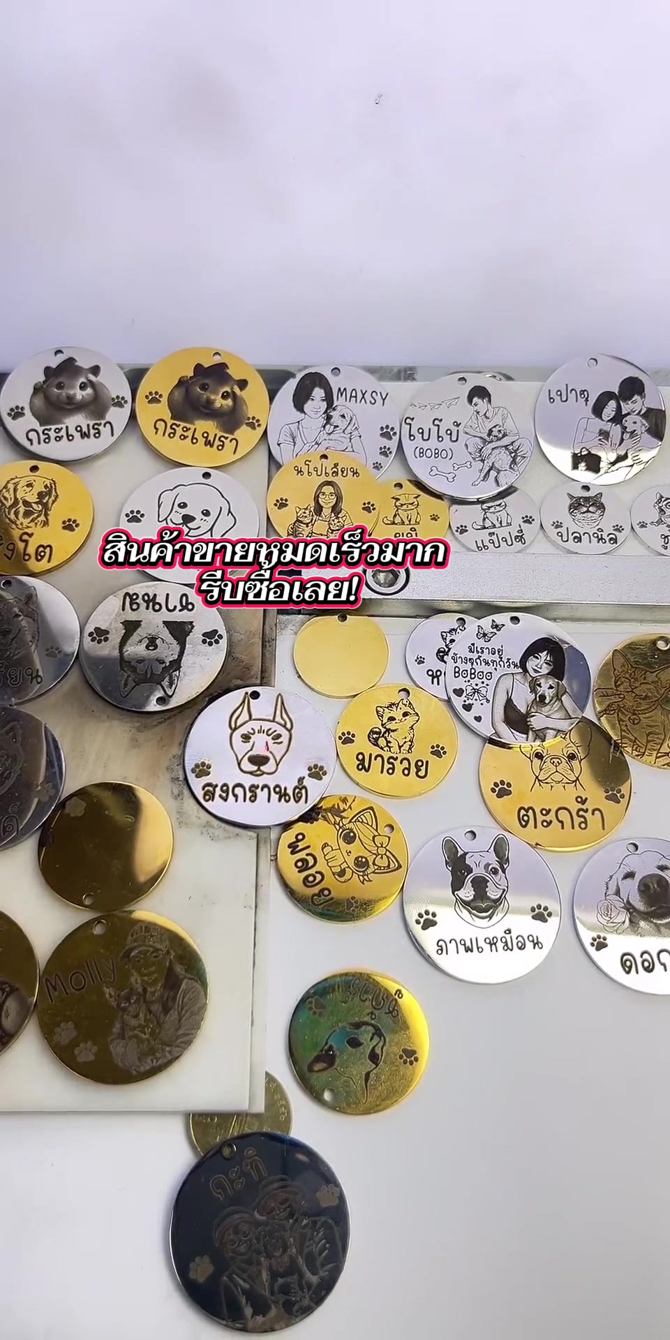 @DIYอุปกรณ์สัตว์เลี้ยง