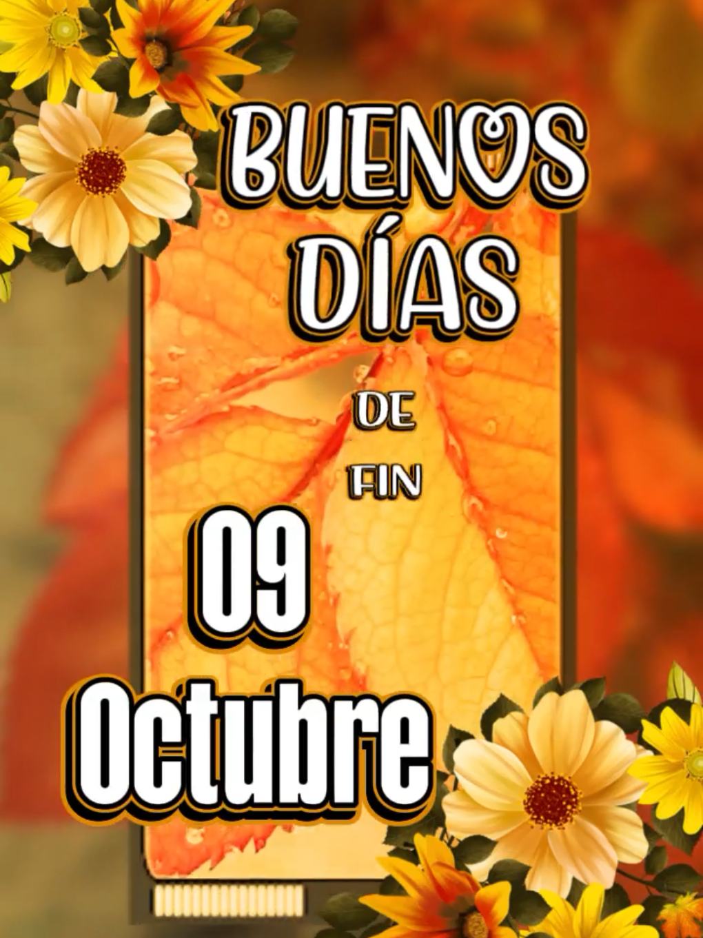 @Arely Mendoza Frases bonitas
