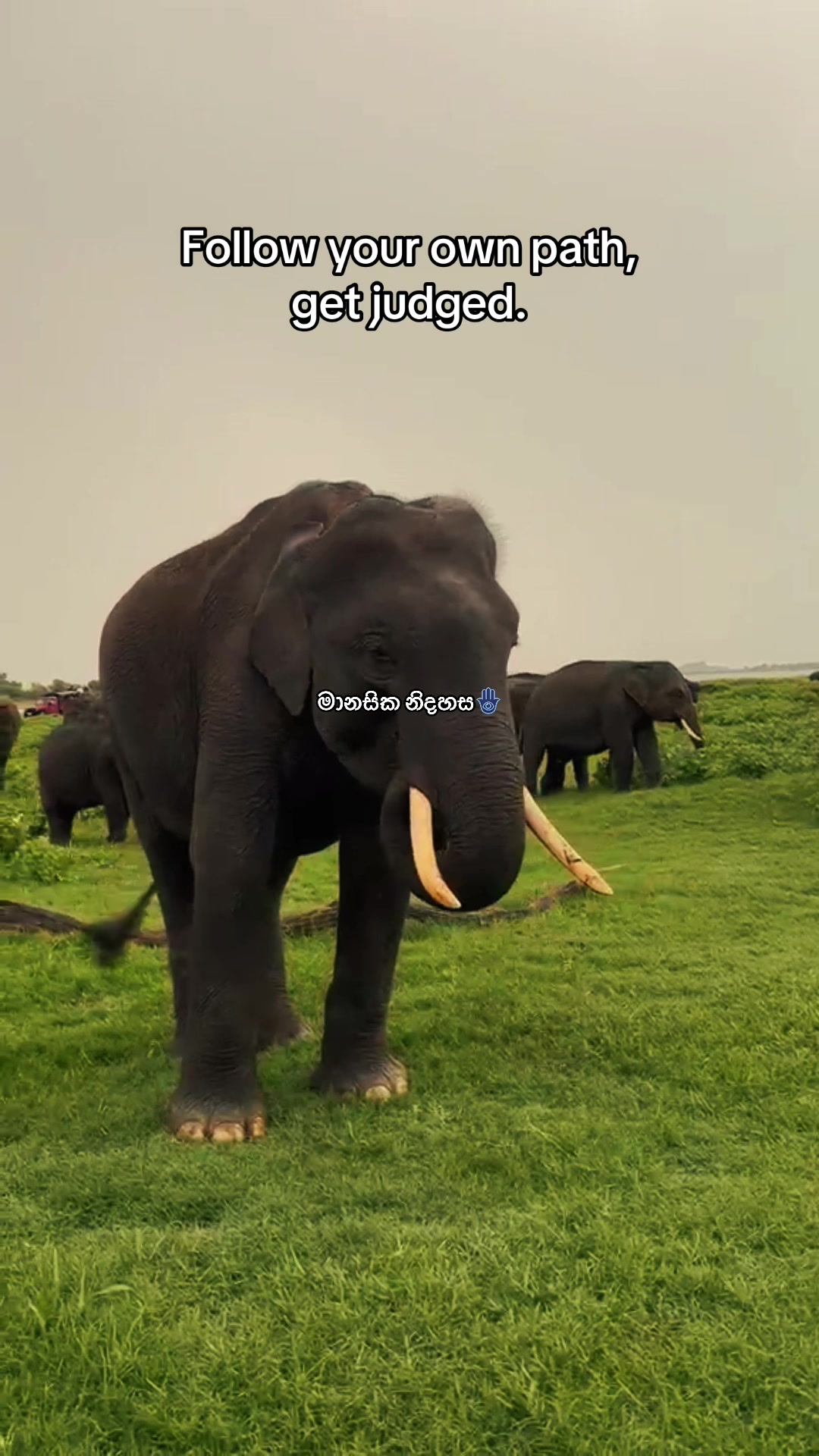 @Sehan Dananjaya  🇱🇰
