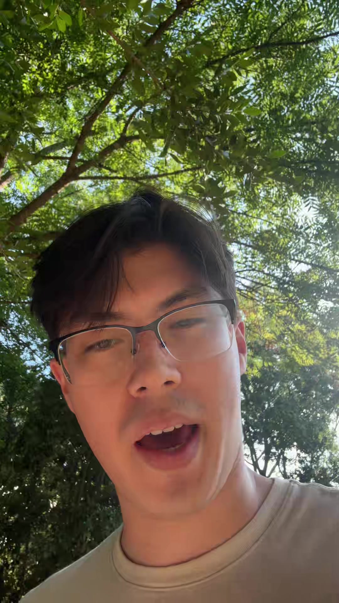 @Rook