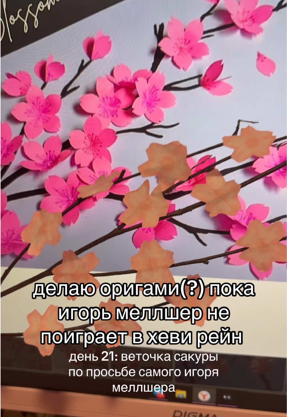 @viskas_mell