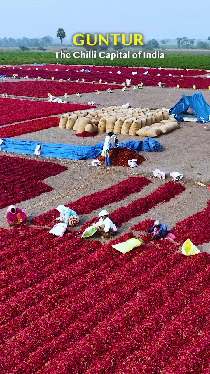 @Md alam🔥