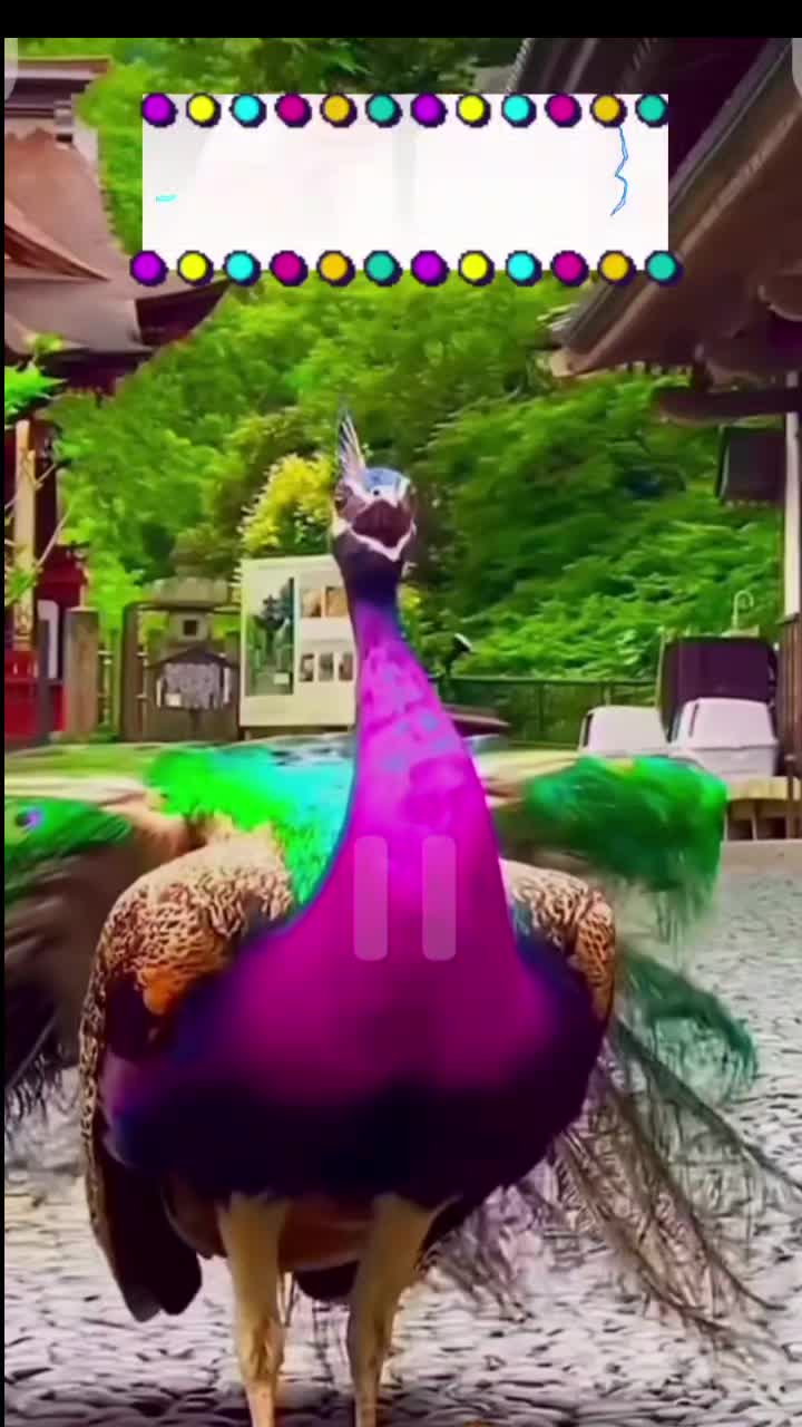@Zubi🙋♀️زوبی