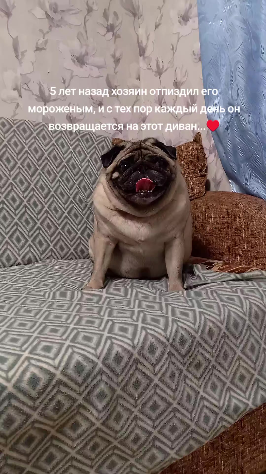 @tg: SamMops76