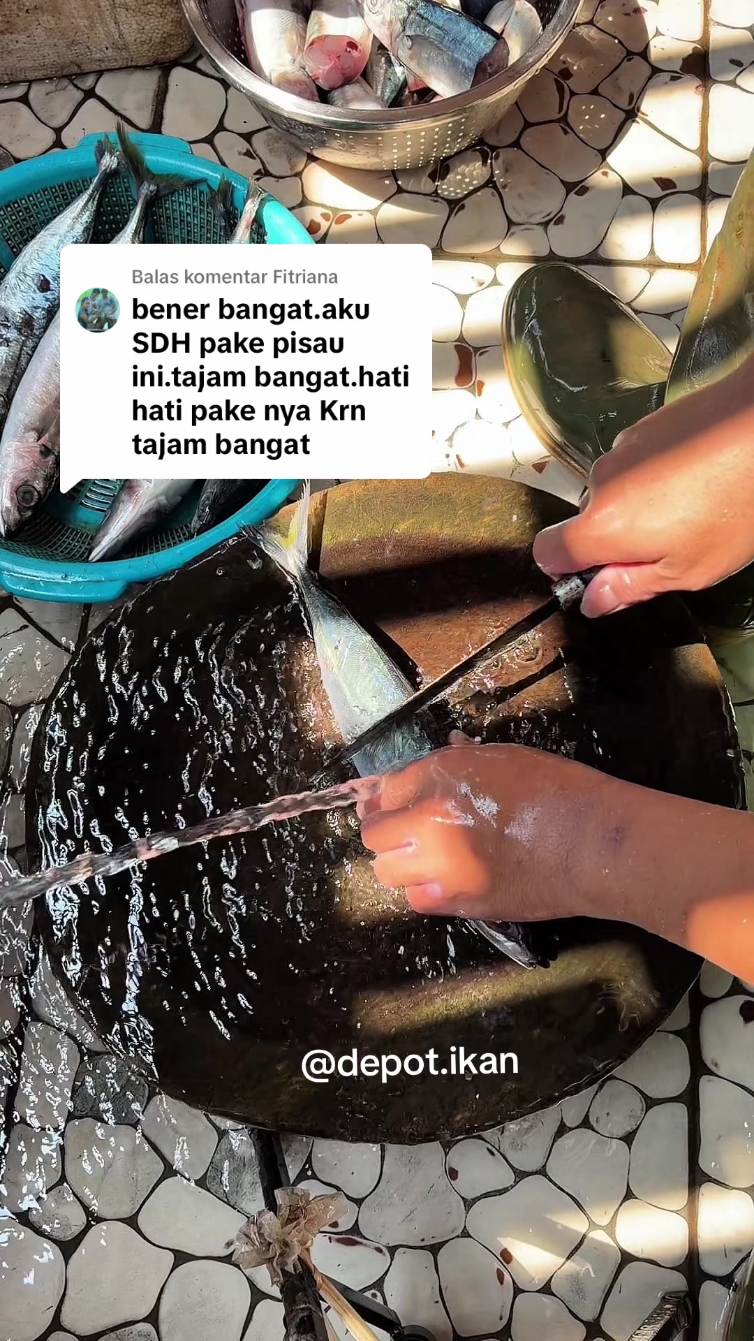 @Depot Ikan