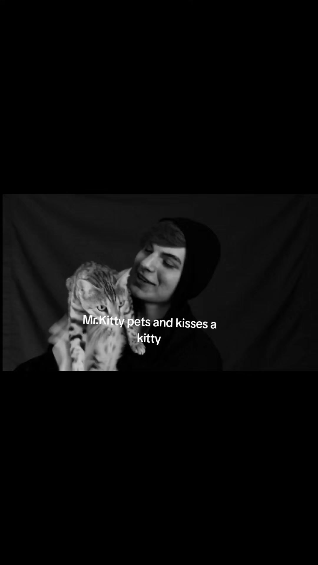 @Daily Mr.Kitty