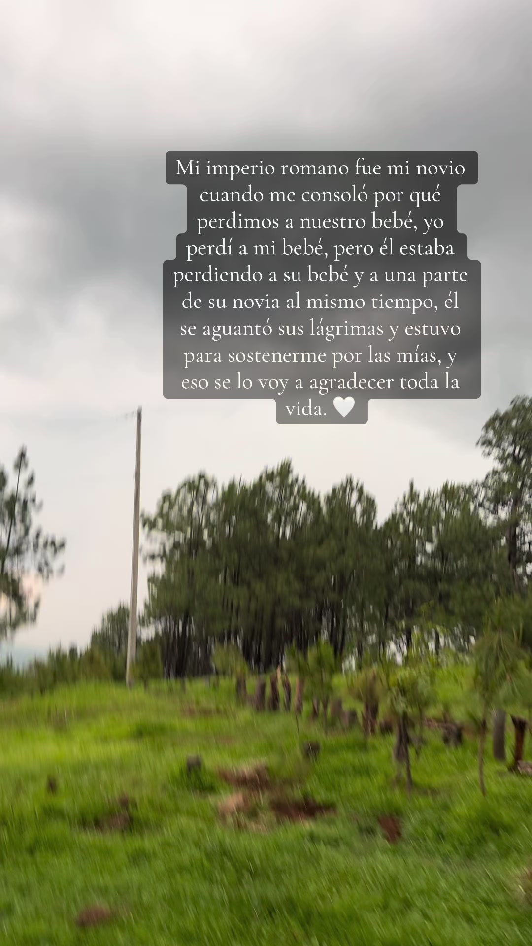 @E ᥫ᭡