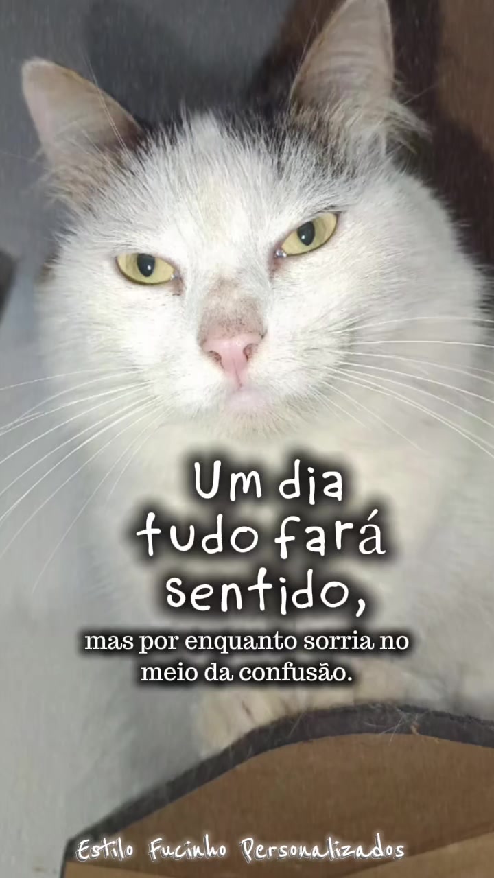 @Estilo Fucinho😻Personalizados