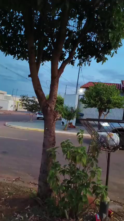 @GILSON. MAL&Oacute;TE