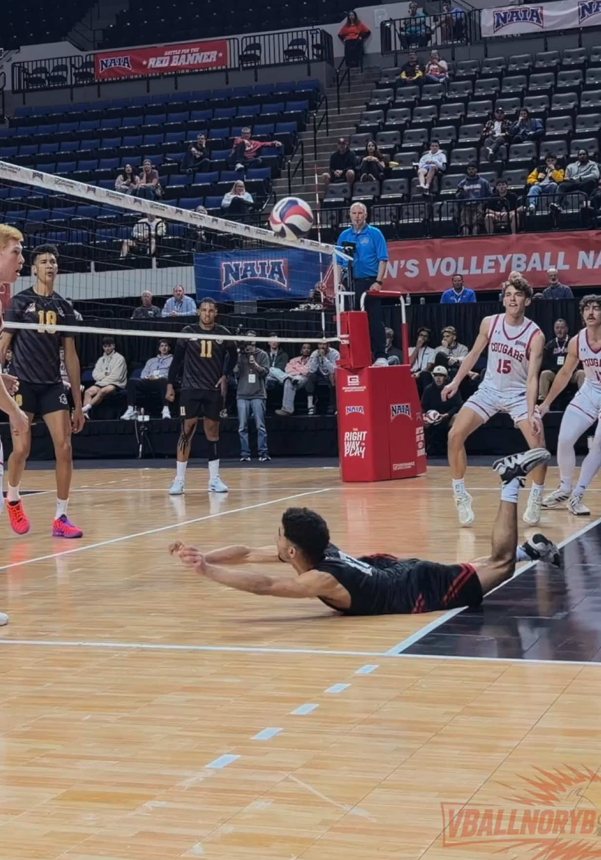 @Vballnoryb Volleyball Media