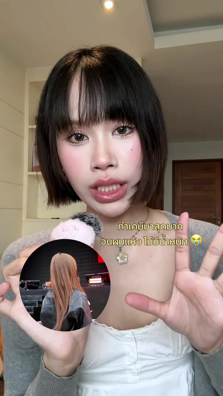 @zajichan