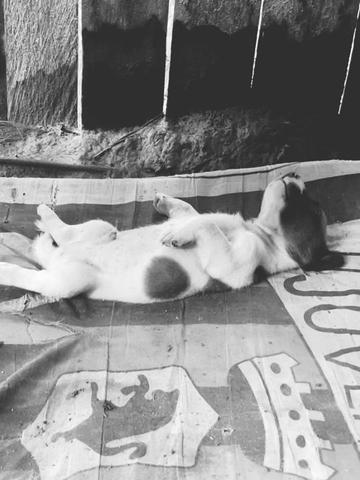 @Venezuella_24’🌱