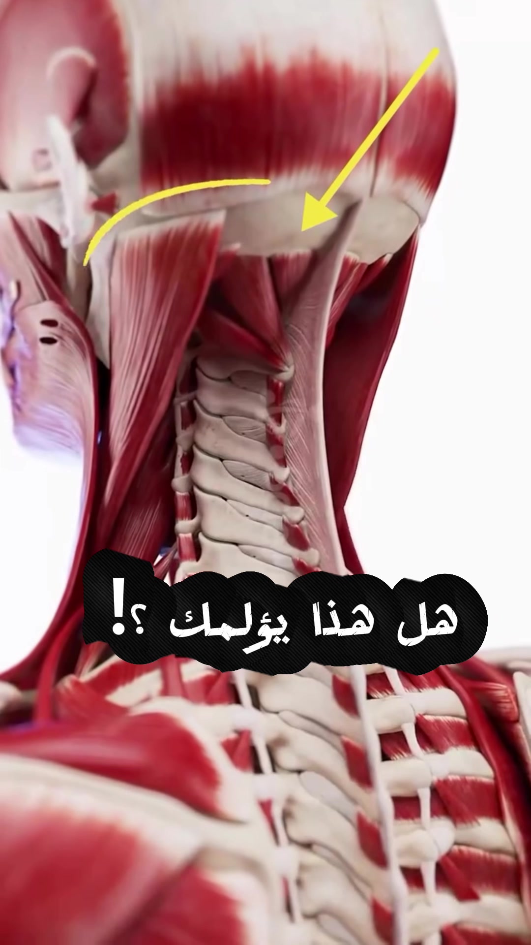 @طبيب تيك توك🩺💊💉