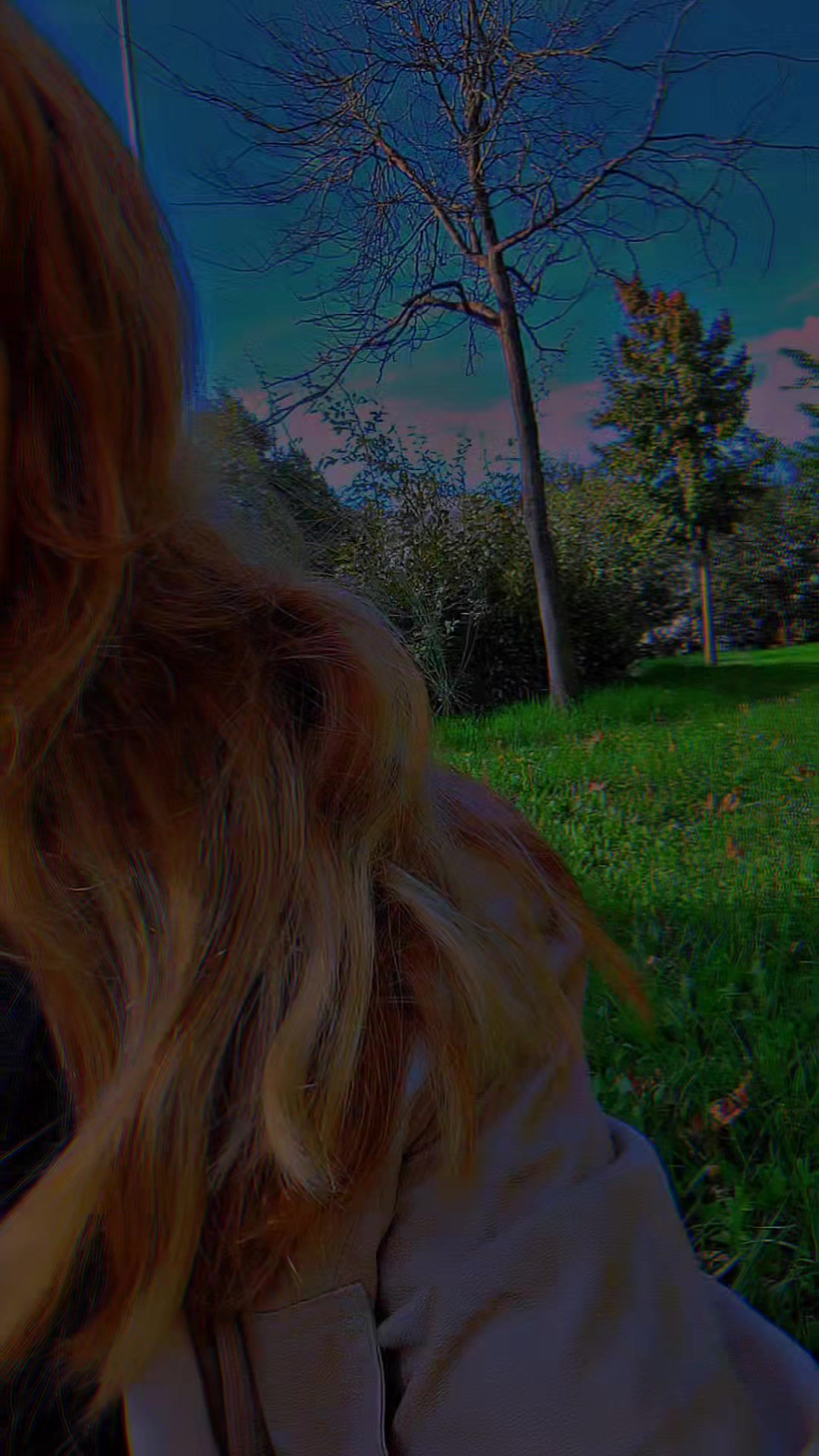 @🦋Rojino🦋