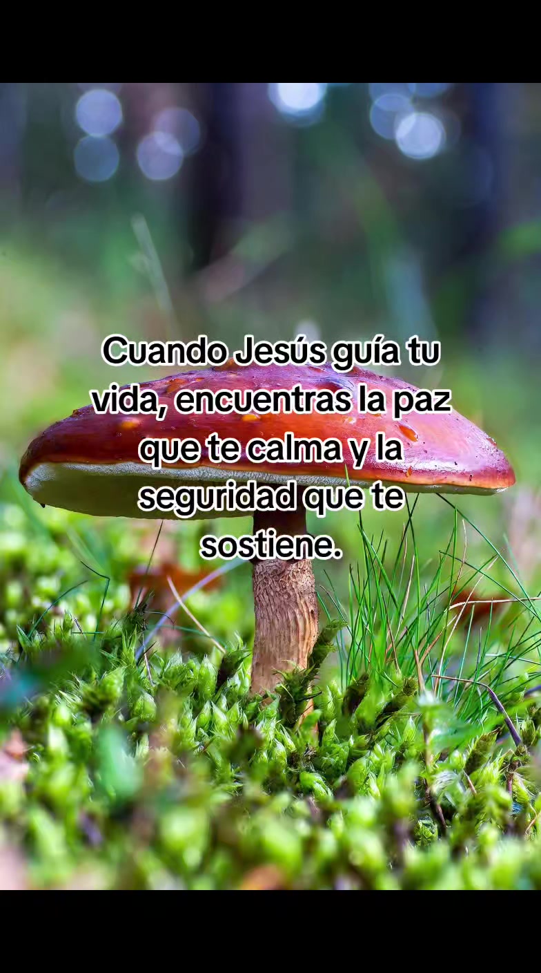 @Mayoli777