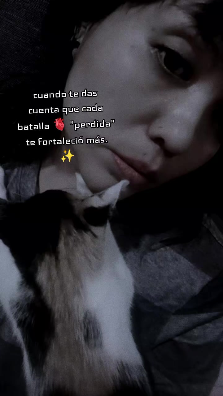@๐โจ๐ท๐๐๐๐๐๐ โจ๐
