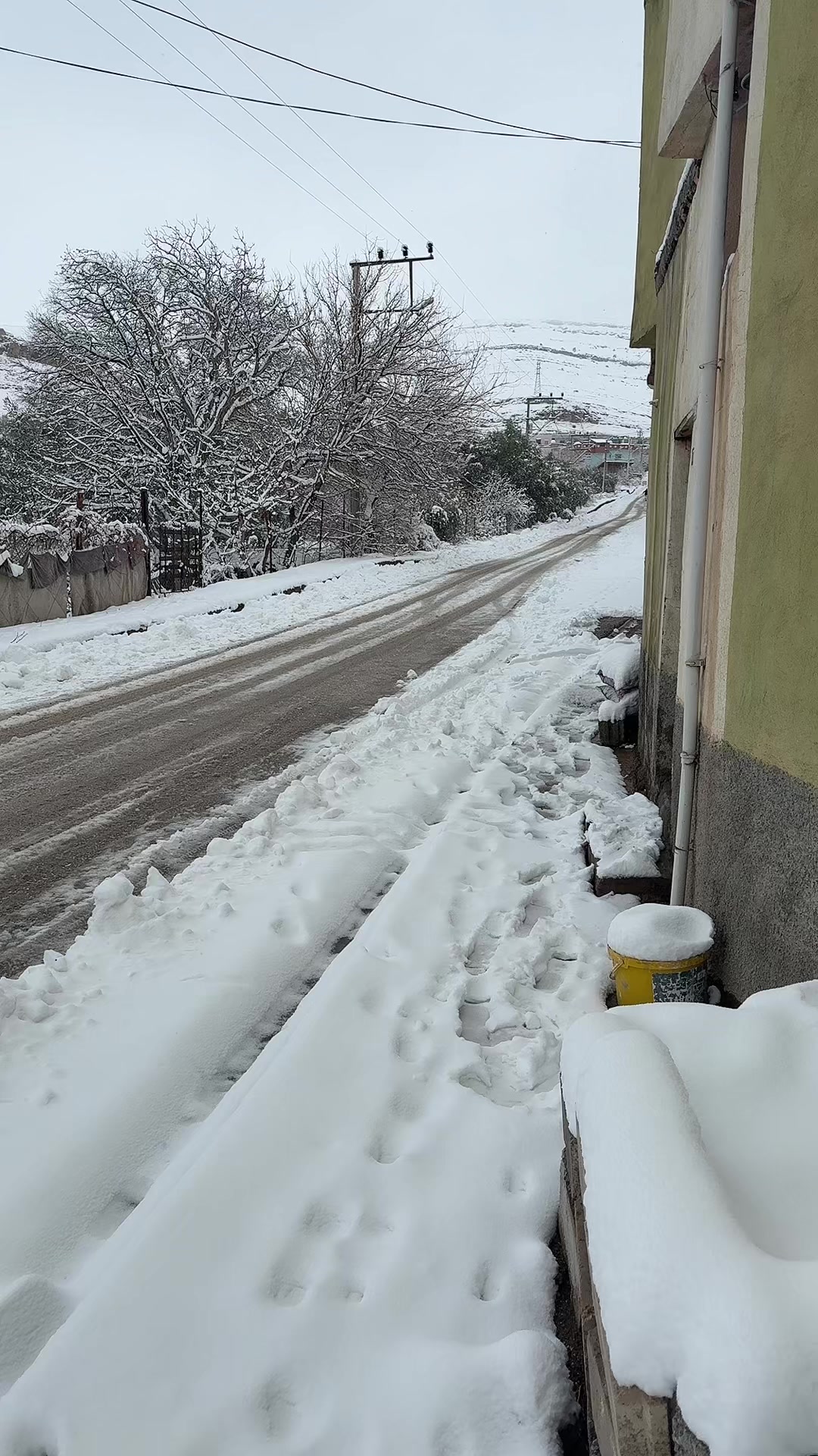 @Aziz Abukan
