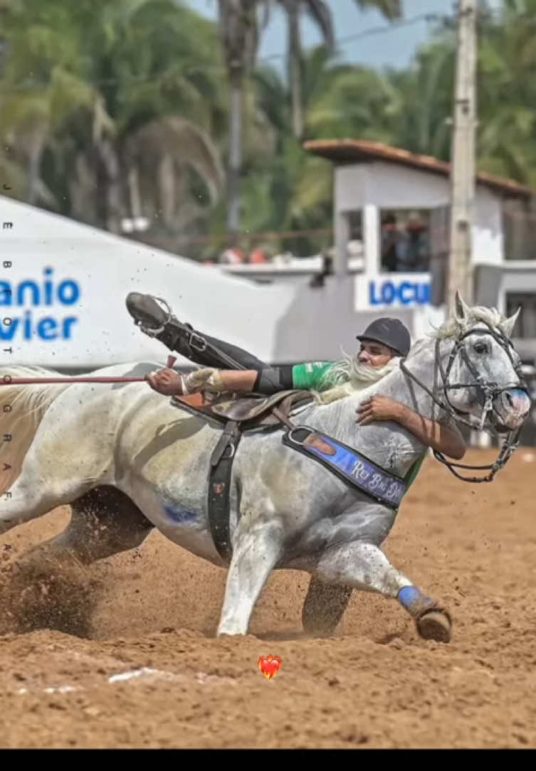 @forr&oacute; de vaquejada