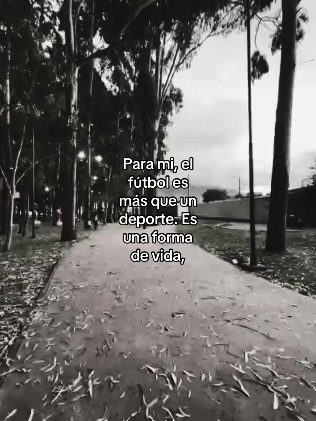 @️🥀Rafa🪫