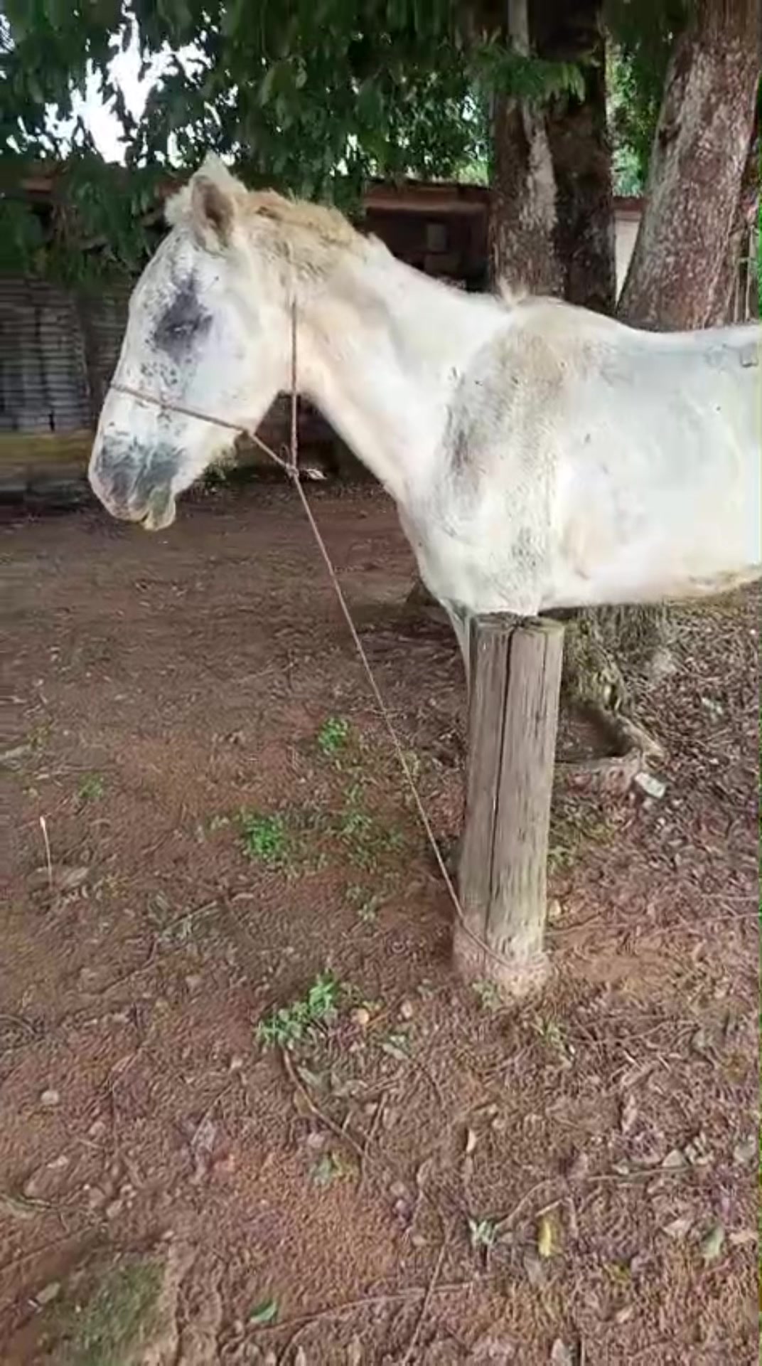 @Espanta Ranch