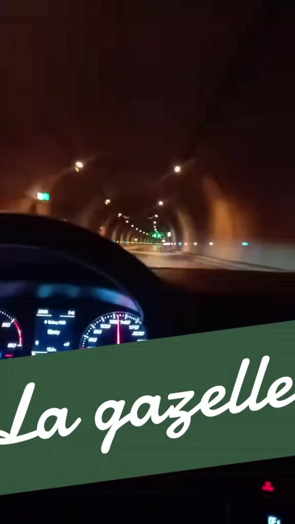 @Gazelle Eleulma