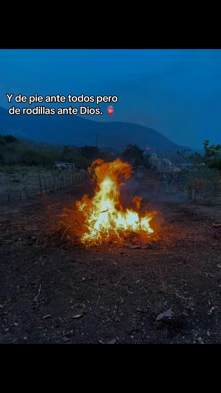 @𓆰 Manuel 𓆪