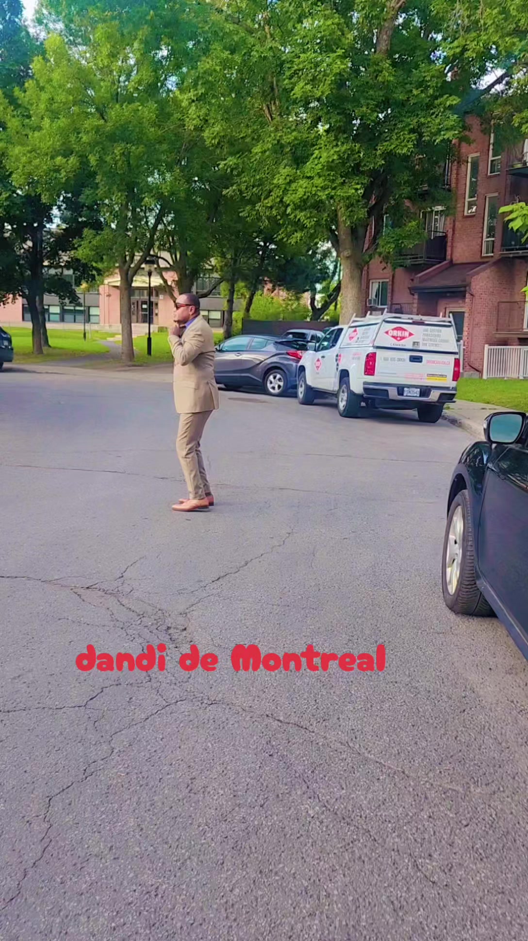 @Dandi de Montréal