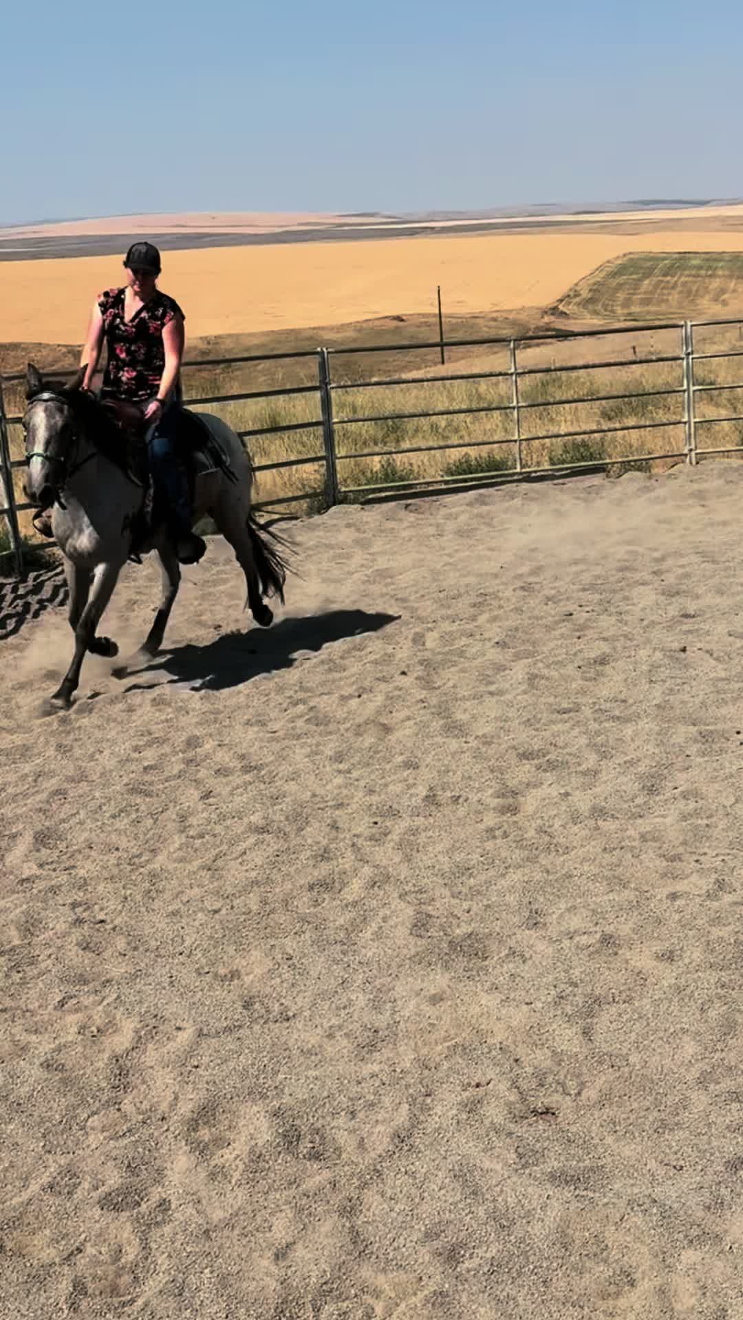 @Cowgirl Tuff Colt Training ❤️