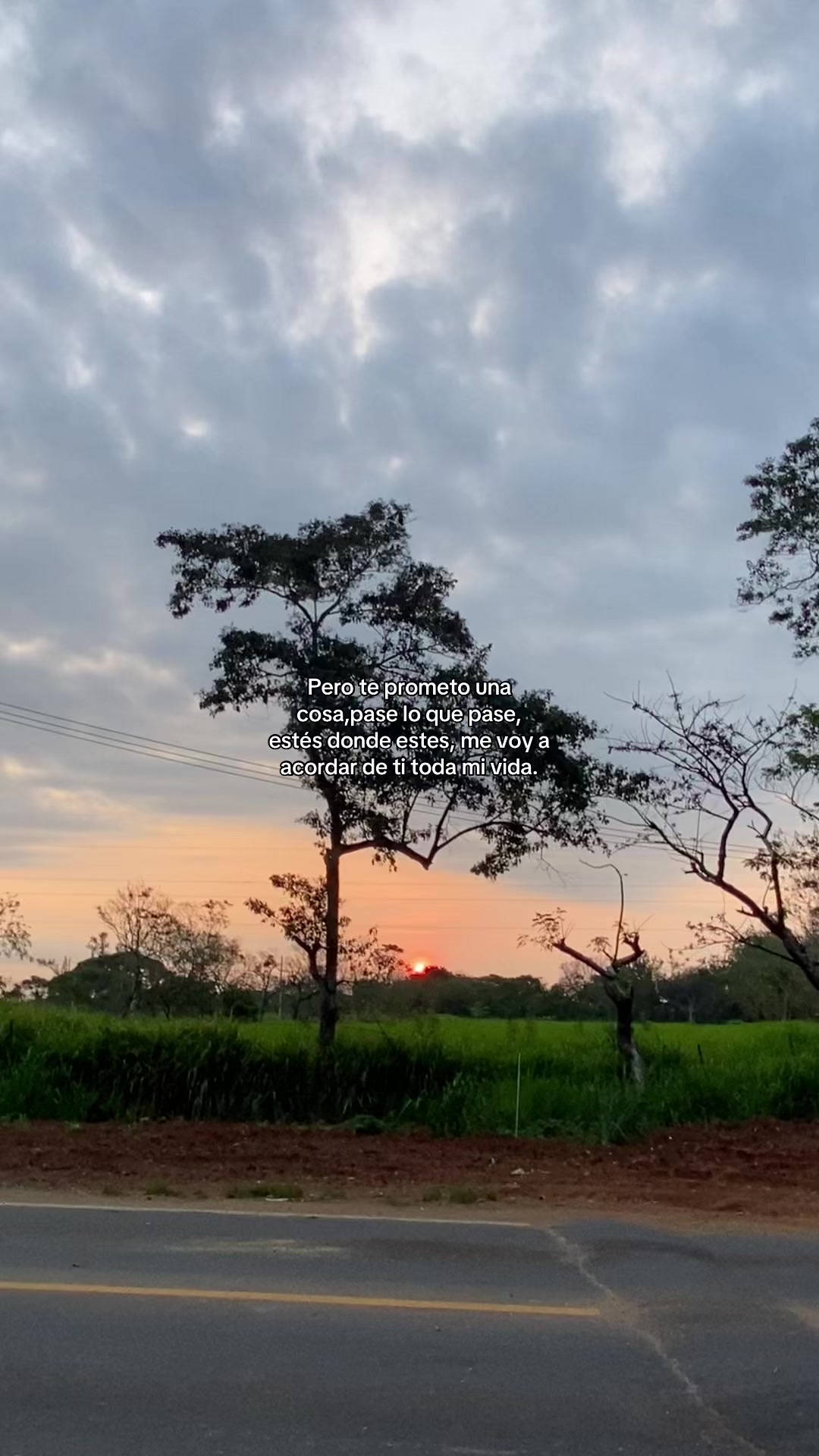 @ℒ𝒶 𝓅𝓁𝒶𝓃𝓉𝒾𝓉𝒶🌱