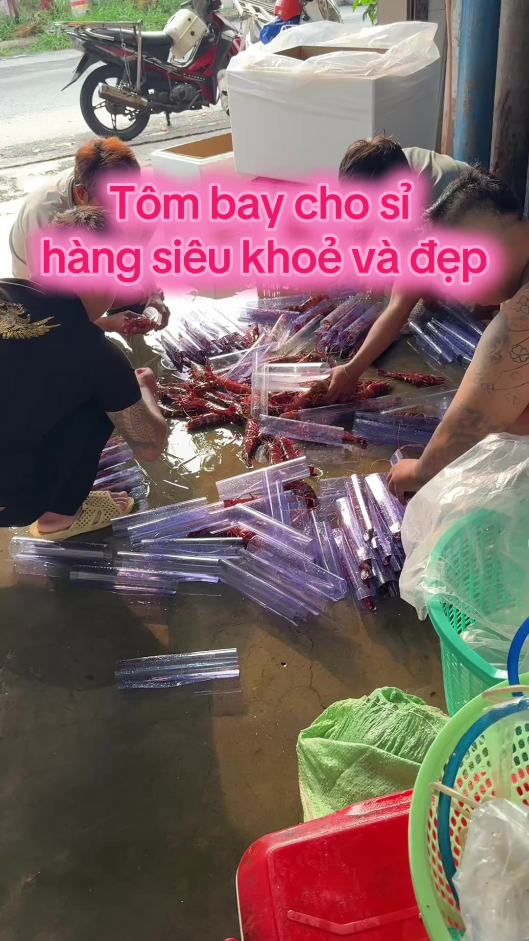 @Thịnh Sú Biển