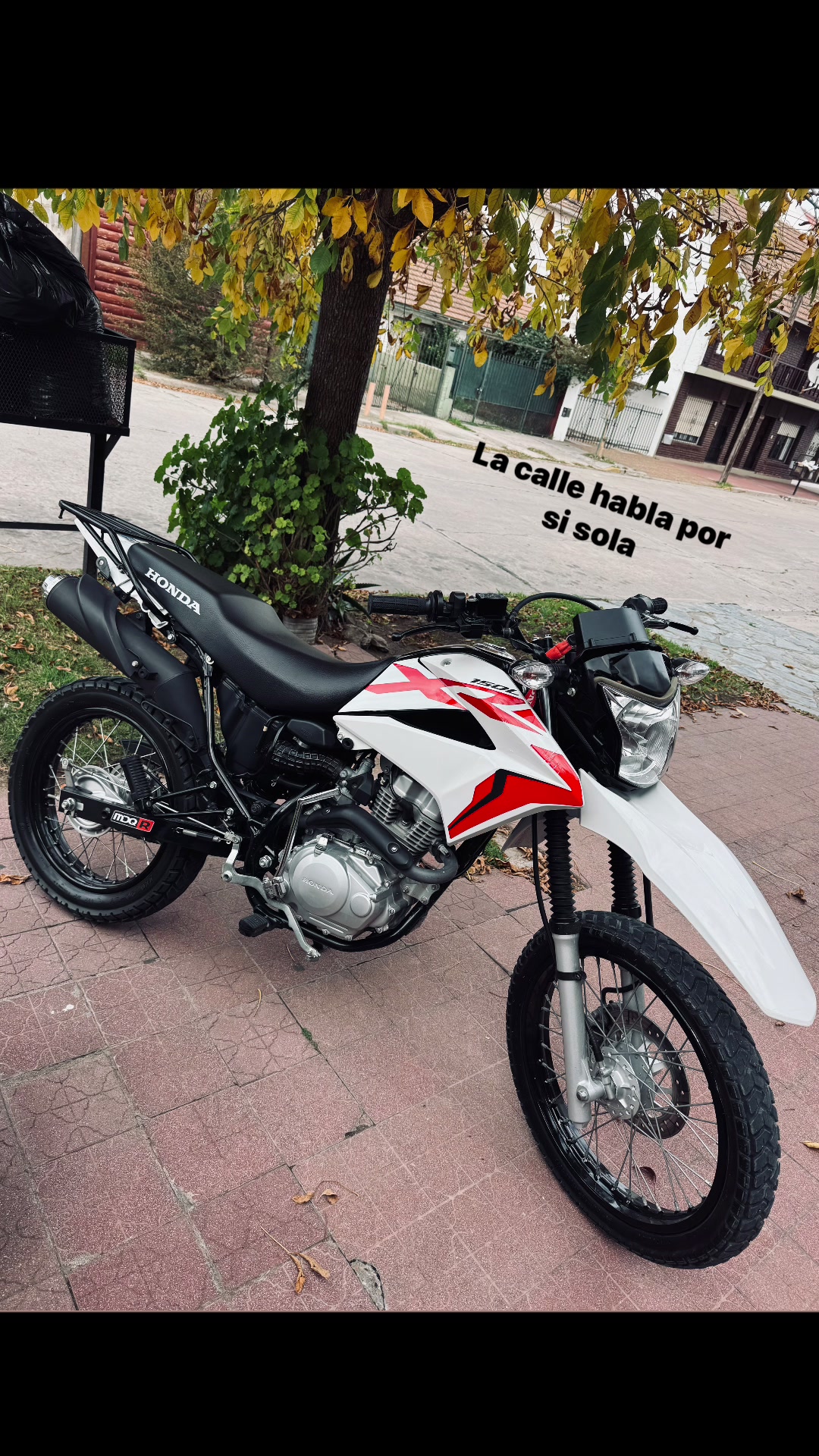 @benjibendd1