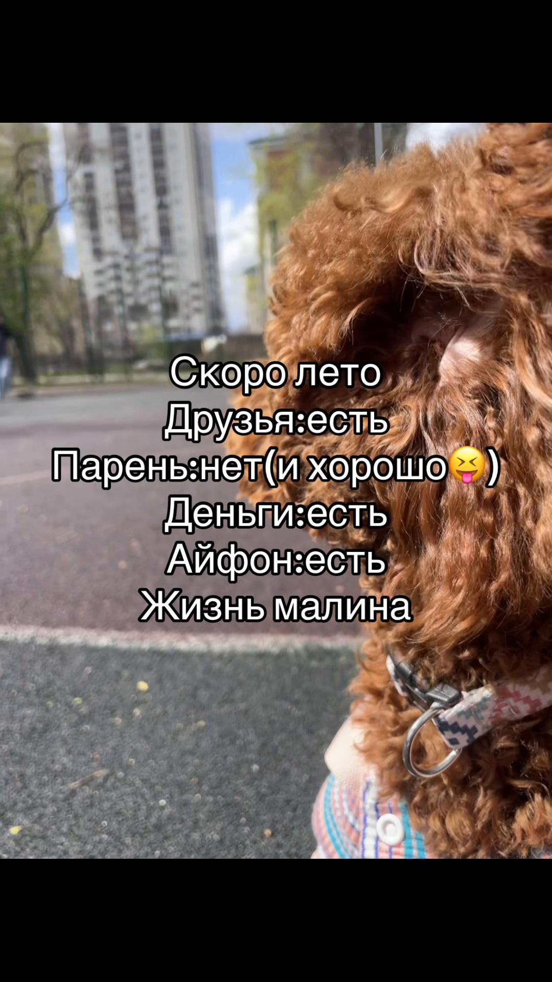 @TГК:andreeva🧸