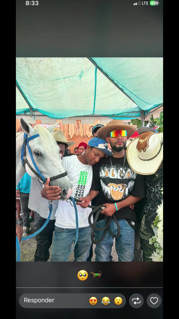 @German❤️🐎