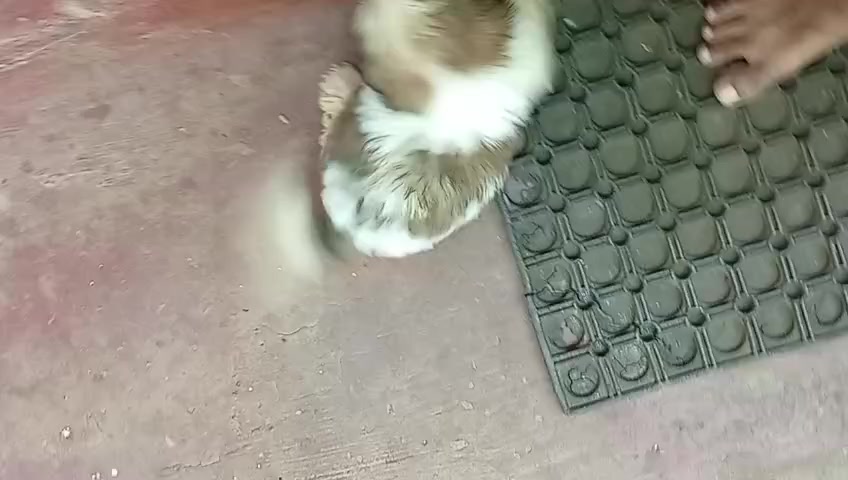 @ðšðŠðMR_____BLACKðšðŠð