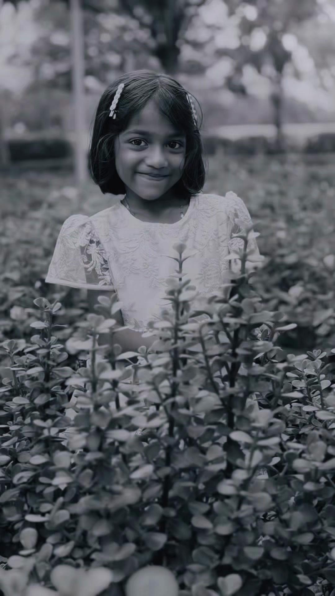 @Nizam Veettil