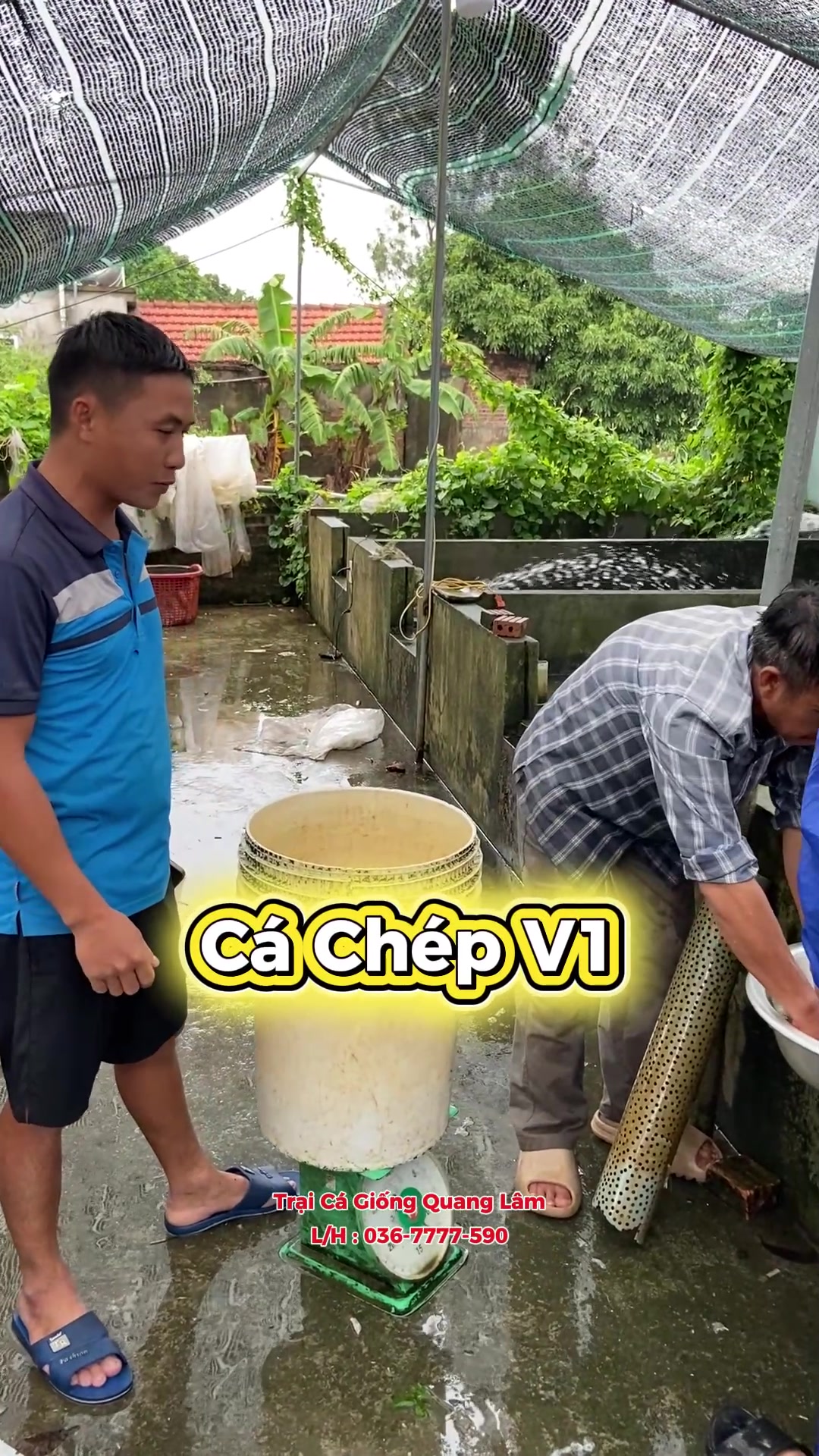 @Trại Cá Giống Quang Lâm