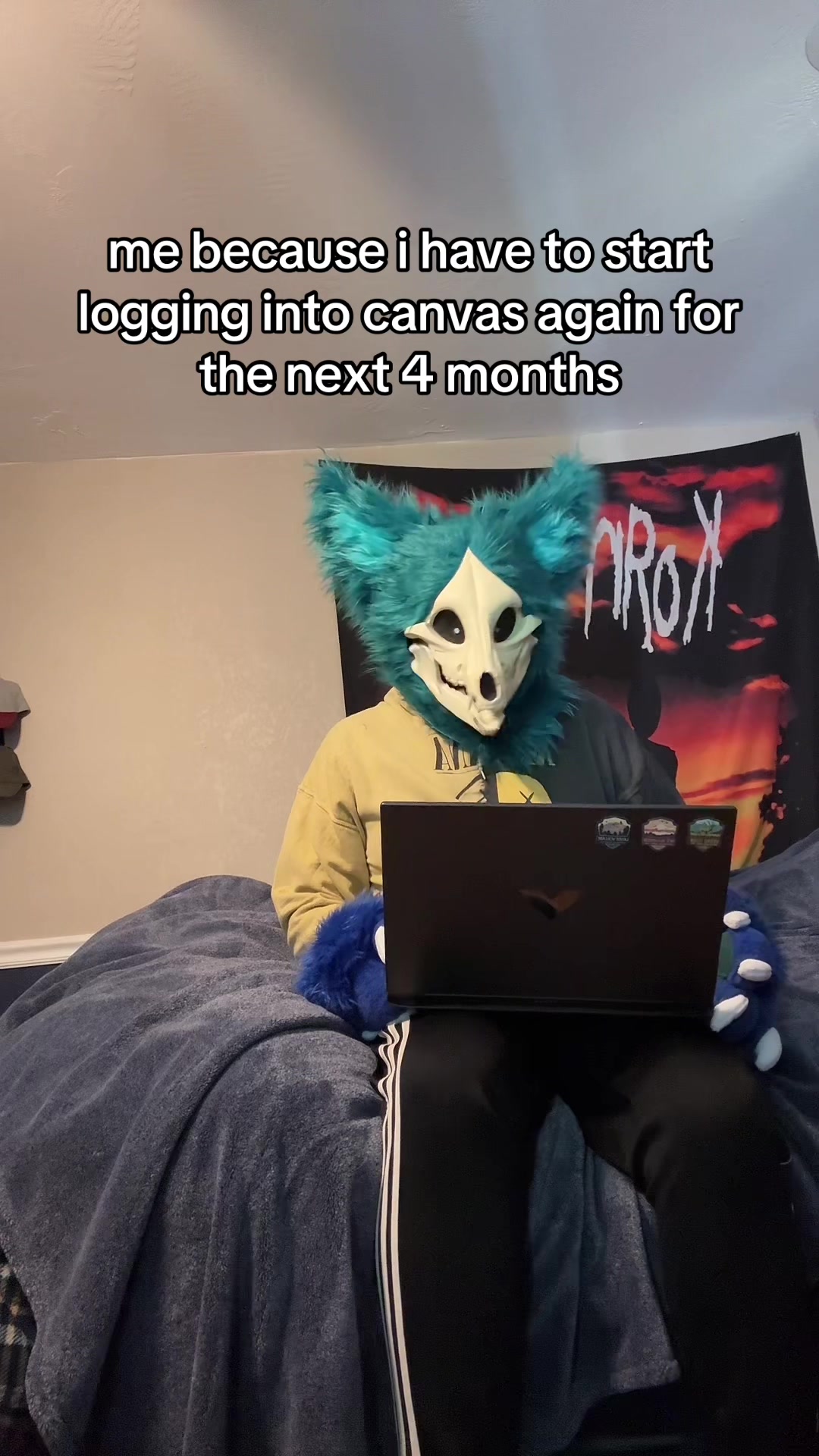 @☠️ dex ☠️