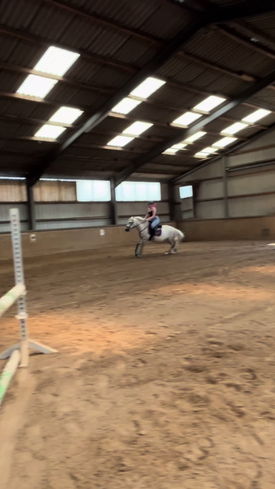 @sunny_the_pony20