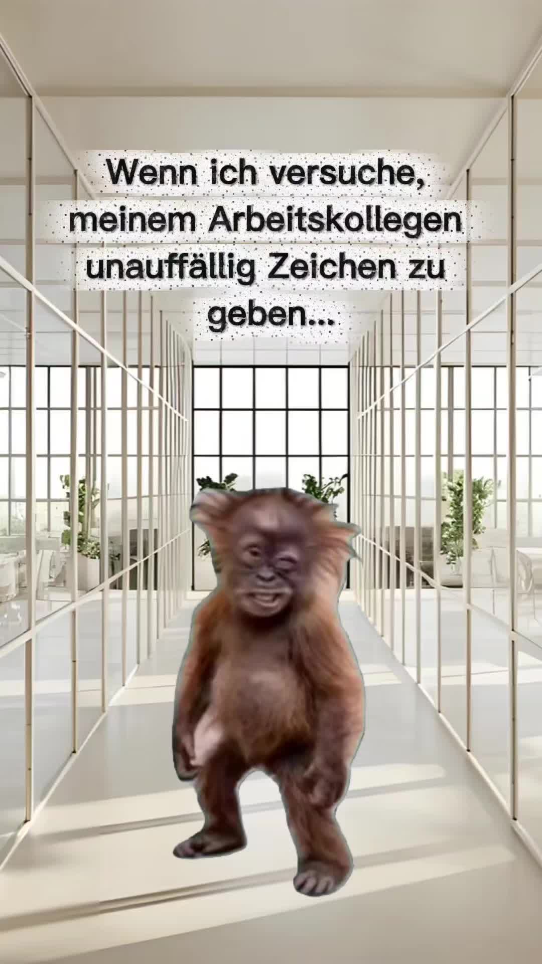 @storfine