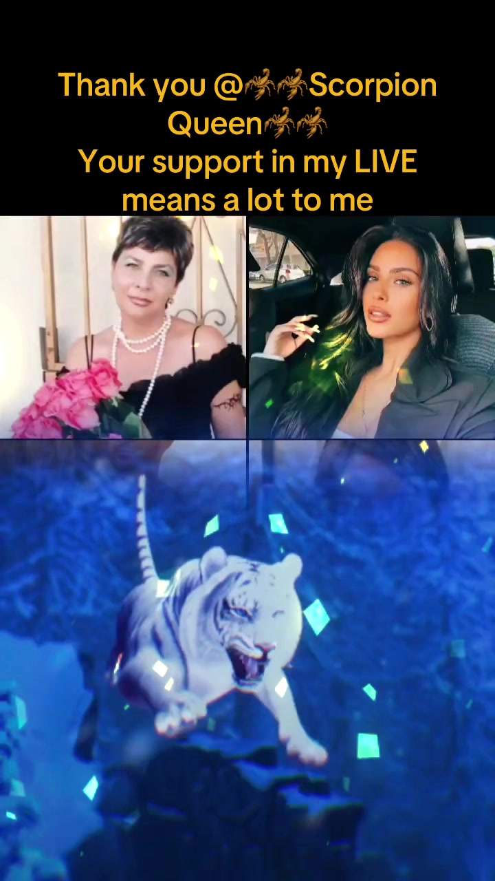 @louizfation1