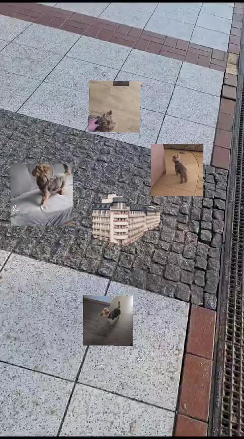 @Małgosia🐻💋💞,🐕💔