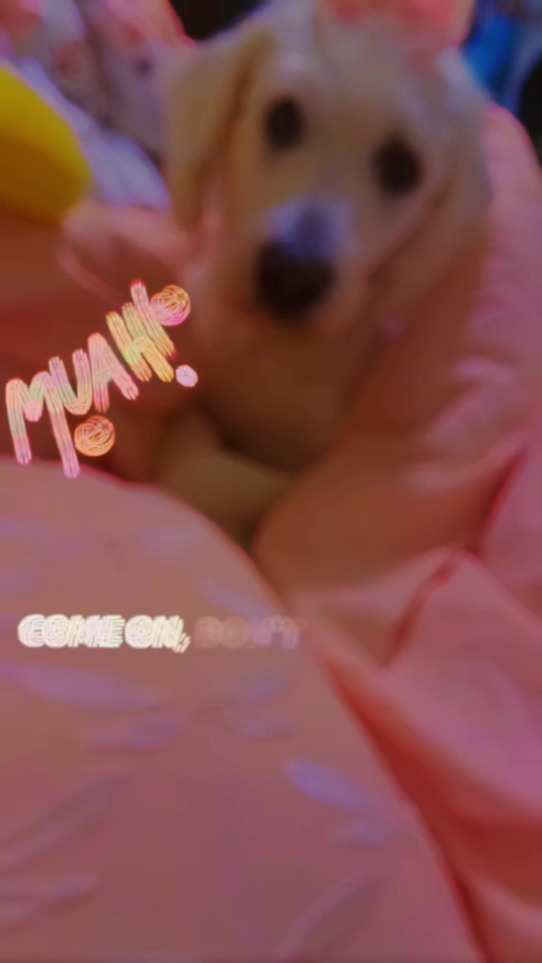 @𖤐☽♡ꕤ❀ℒ𝓊𝓃𝒶ℳ𝒶𝓎𝒶❀ꕤ♡☽𖤐