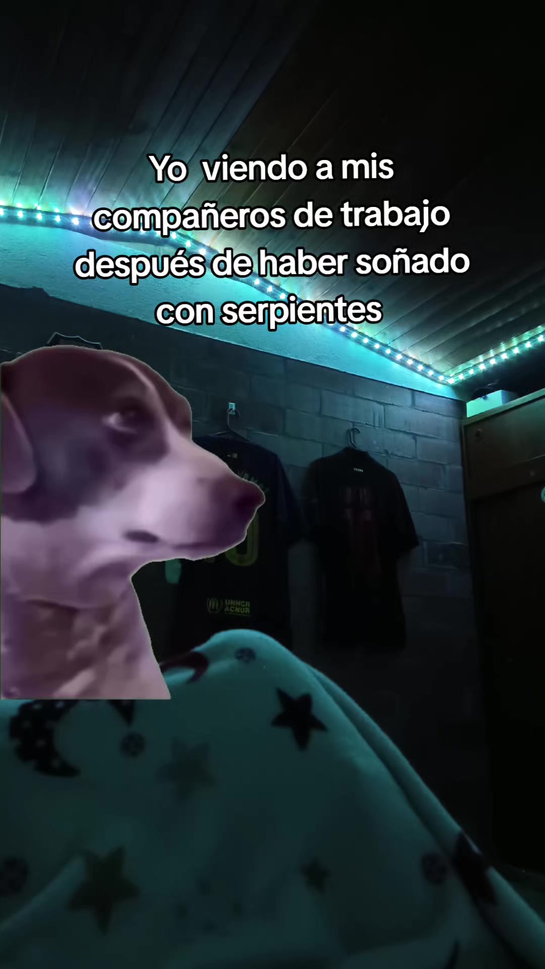 @Farid