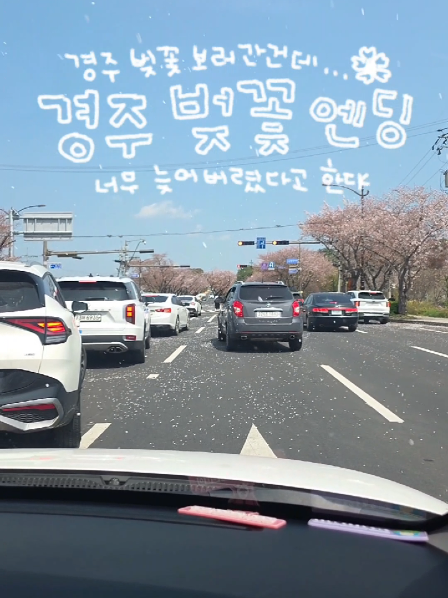 @오늘의 금지