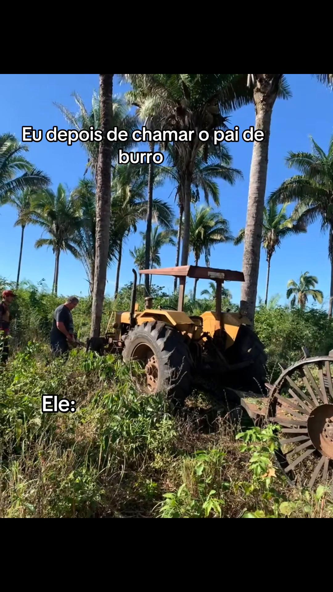 @Berdinazzi 🇧🇷