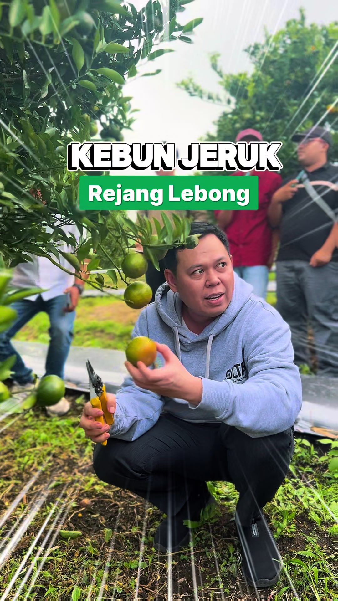 @Sultan B. Najamudin