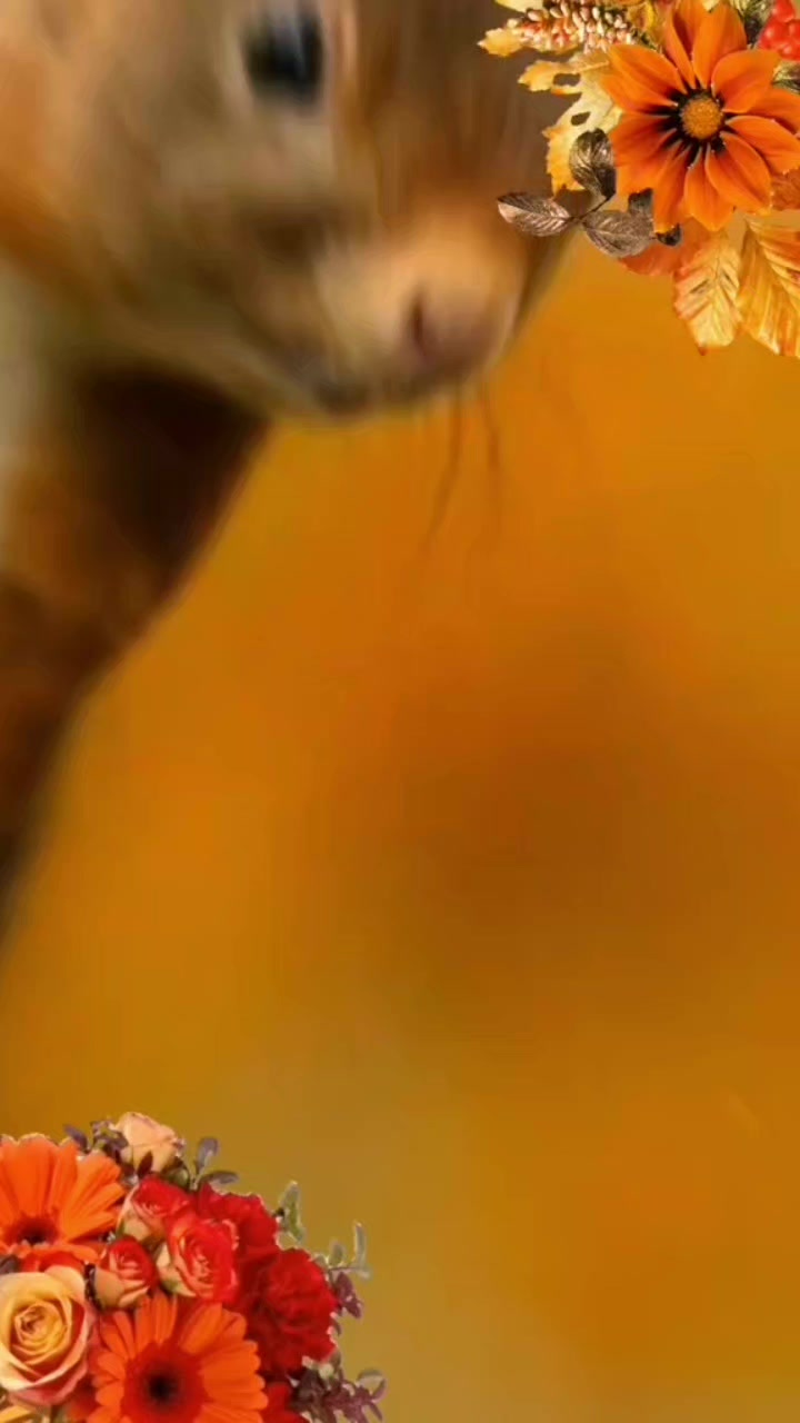 @любовь